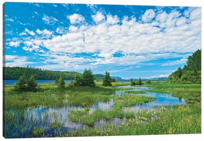 Canada, Ontario. Clouds And Wetland At Lake Nipigon Canvas Art Print - Jaynes Gallery