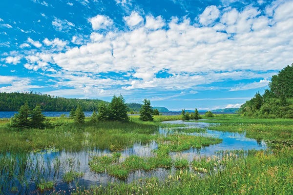 Ontario: Canada, Ontario. Clouds And Wetland At Lake Nipigon by Jaynes Gallery