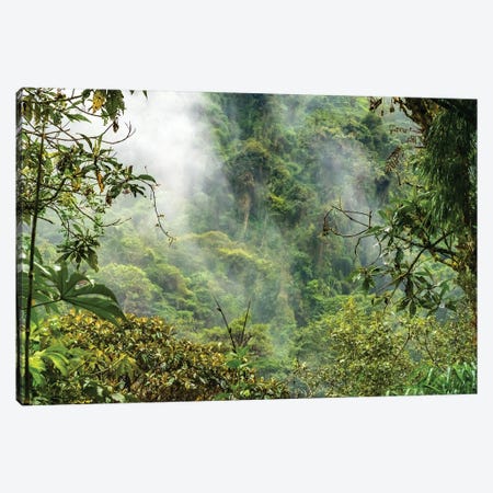Ecuador, Guango. Cloud In Jungle Landscape Canvas Print #JYG1139} by Jaynes Gallery Art Print