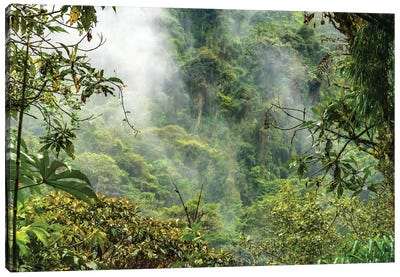 Ecuador, Guango. Cloud In Jungle Landscape Canvas Art Print