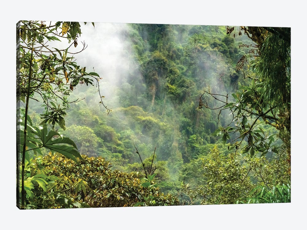 Ecuador, Guango. Cloud In Jungle Landscape by Jaynes Gallery 1-piece Canvas Artwork
