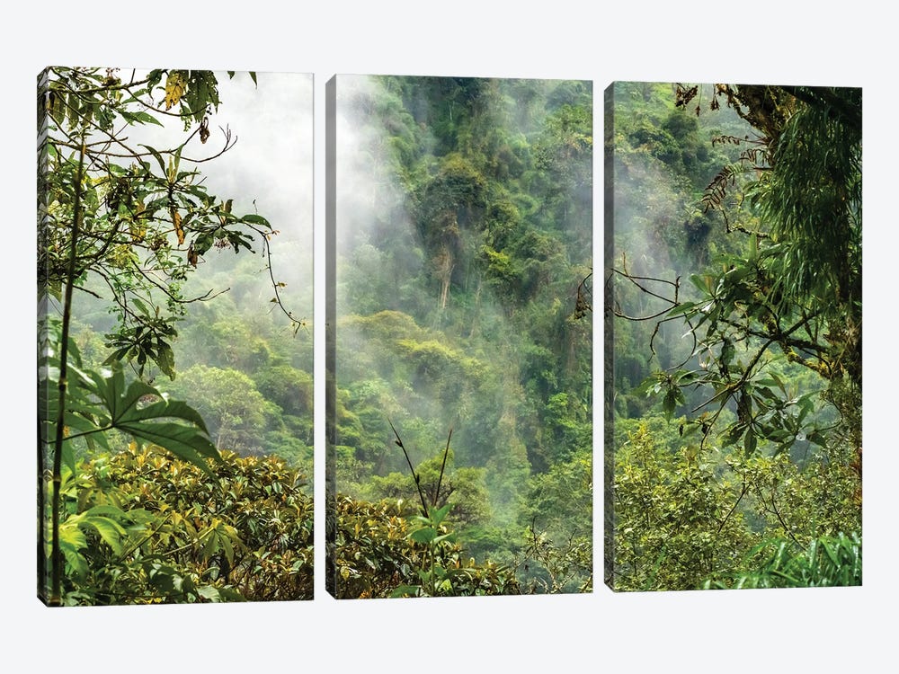 Ecuador, Guango. Cloud In Jungle Landscape by Jaynes Gallery 3-piece Canvas Artwork