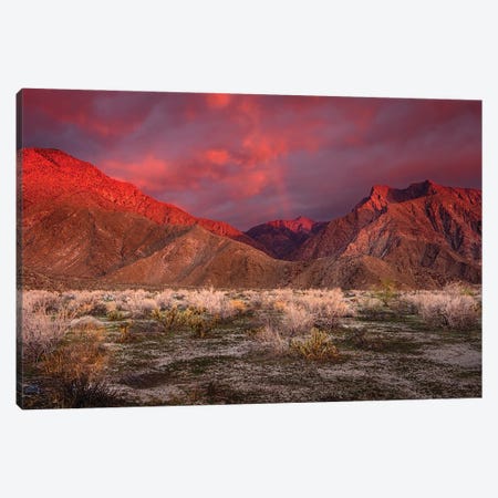USA, California, Anza-Borrego Desert State Park. Desert Landscape And Mountains At Sunrise Canvas Print #JYG1140} by Jaynes Gallery Canvas Wall Art