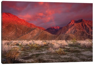 USA, California, Anza-Borrego Desert State Park. Desert Landscape And Mountains At Sunrise Canvas Art Print - Jaynes Gallery
