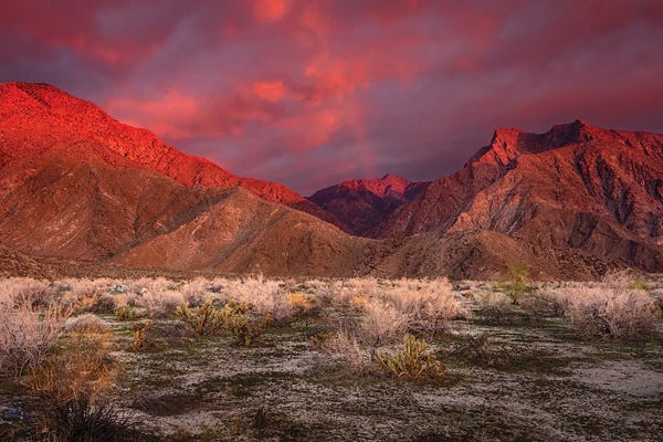 USA, California, Anza-Borrego Desert State Park. Desert Landscape And Mountains At Sunrise