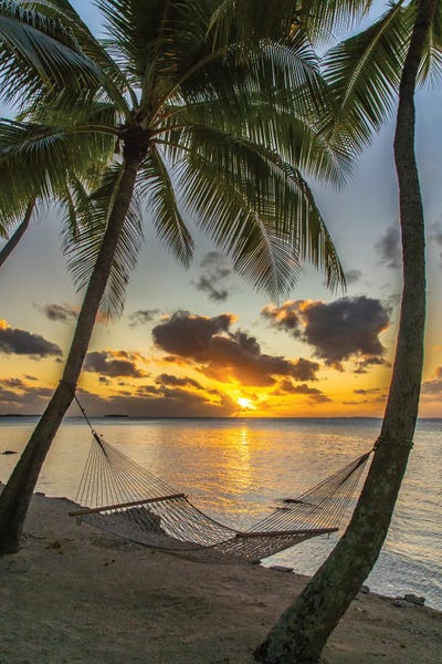 French Polynesia, Tikehau Atoll. Sunset On Hammock Between Palm Trees And Ocean.