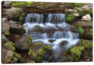 USA, California, Yosemite National Park. Fern Spring waterfall. Canvas Art Print - Calm Art