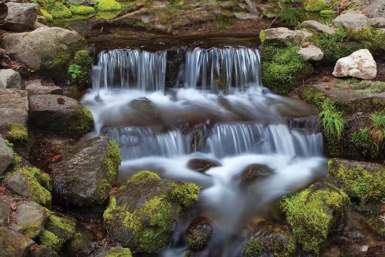 USA, California, Yosemite National Park. Fern Spring waterfall. by Jaynes Gallery wall art