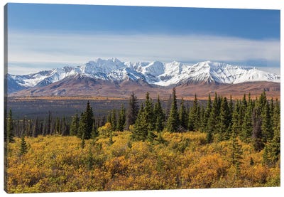Canada, Yukon, Kluane National Park. Snow-covered peaks in the St. Elias Range. Canvas Art Print
