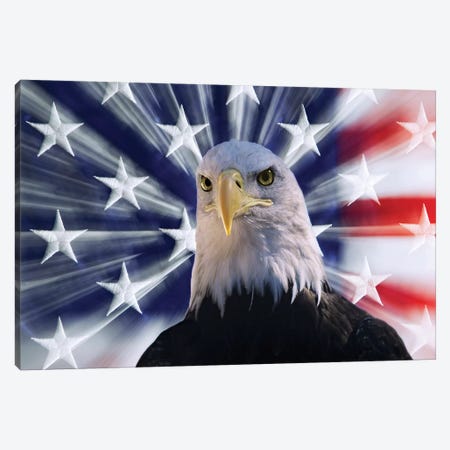 USA, California. Composite of bald eagle and American flag. Canvas Print #JYG121} by Jaynes Gallery Canvas Wall Art