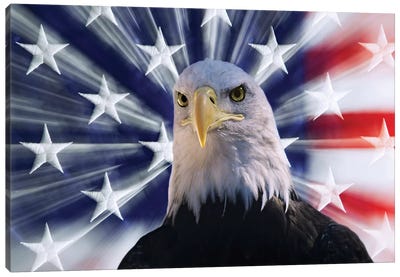 USA, California. Composite of bald eagle and American flag. Canvas Art Print - Flag Art