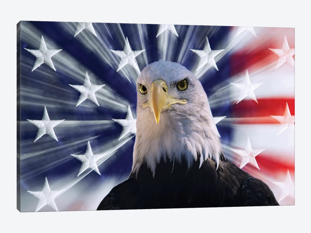 USA, California. Composite of bald eagle and American flag. by Jaynes Gallery 1-piece Canvas Artwork