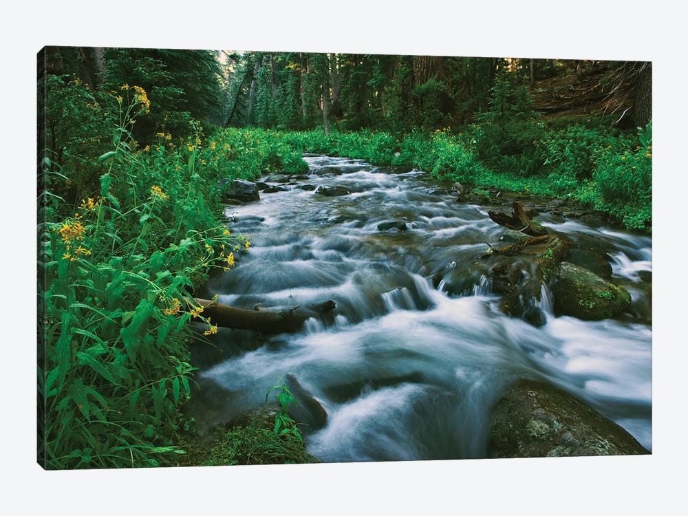 USA, California. Scenic of Coldwater Creek. by Jaynes Gallery 1-piece Canvas Art