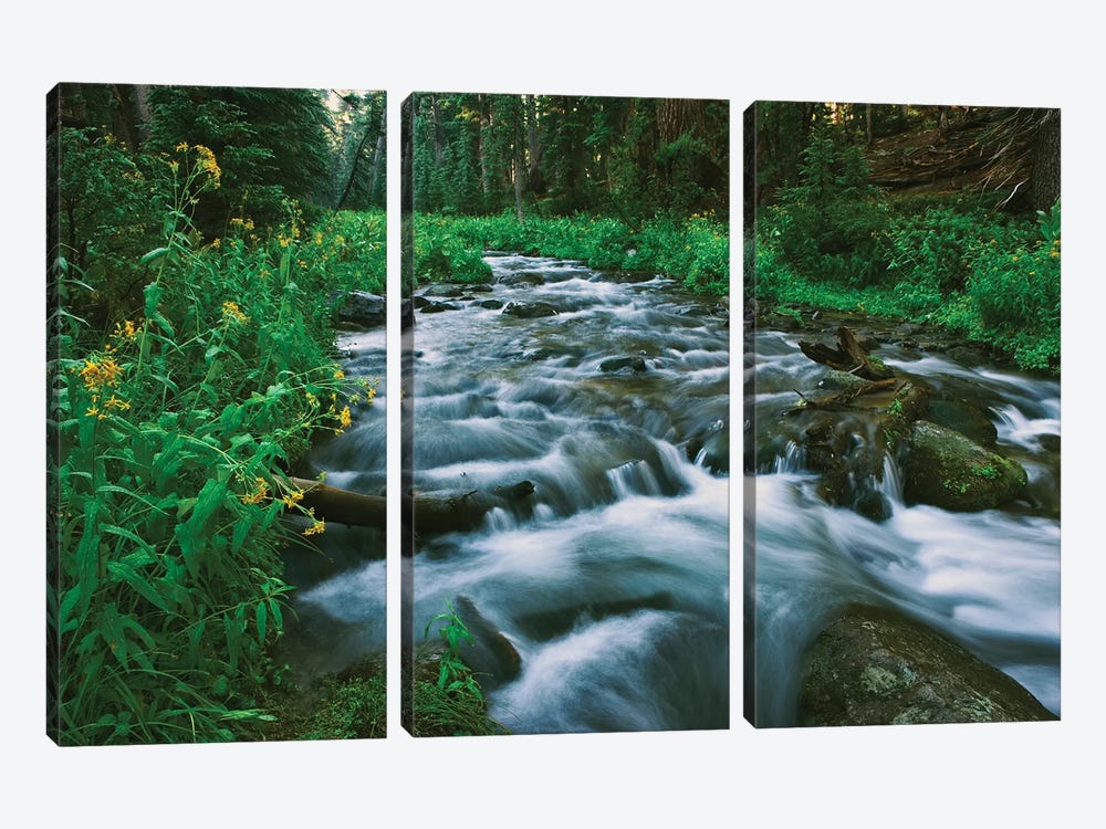 USA, California. Scenic of Coldwater Creek. by Jaynes Gallery 3-piece Canvas Art