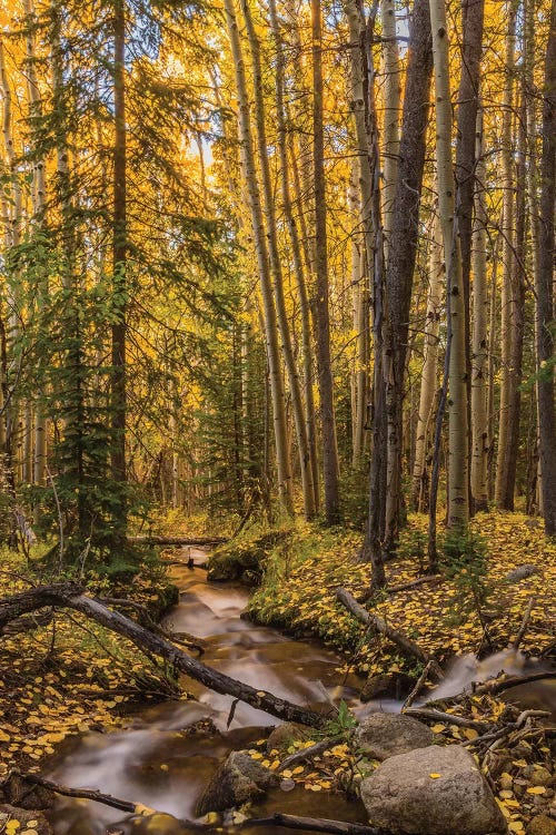 USA, Colorado, Rocky Mountain National Park. Waterfall in forest scenic I