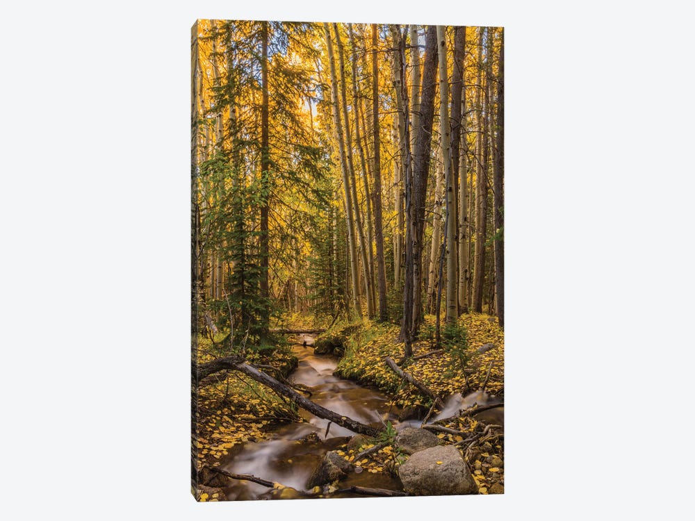 USA, Colorado, Rocky Mountain National Park. Waterfall in forest scenic I by Jaynes Gallery 1-piece Canvas Artwork