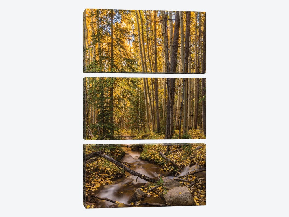 USA, Colorado, Rocky Mountain National Park. Waterfall in forest scenic I by Jaynes Gallery 3-piece Canvas Art