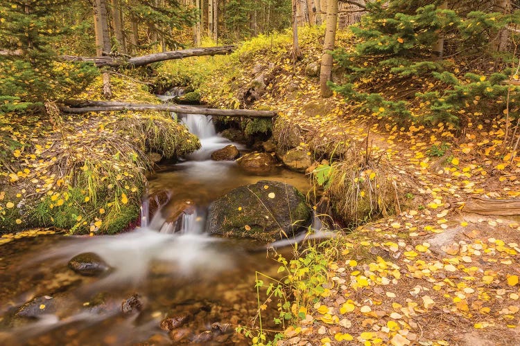 USA, Colorado, Rocky Mountain National Park. Waterfall in forest scenic II