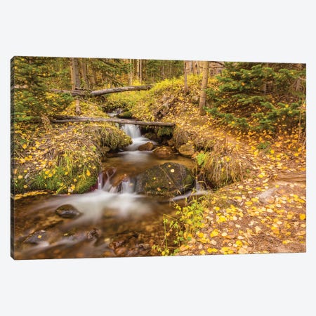USA, Colorado, Rocky Mountain National Park. Waterfall in forest scenic II Canvas Print #JYG126} by Jaynes Gallery Canvas Print