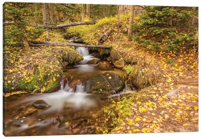 USA, Colorado, Rocky Mountain National Park. Waterfall in forest scenic II Canvas Art Print - Rocky Mountain National Park Art