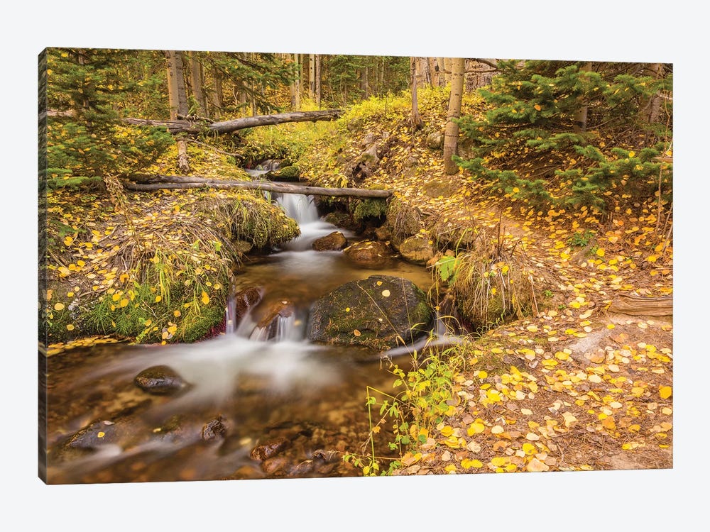 USA, Colorado, Rocky Mountain National Park. Waterfall in forest scenic II by Jaynes Gallery 1-piece Art Print