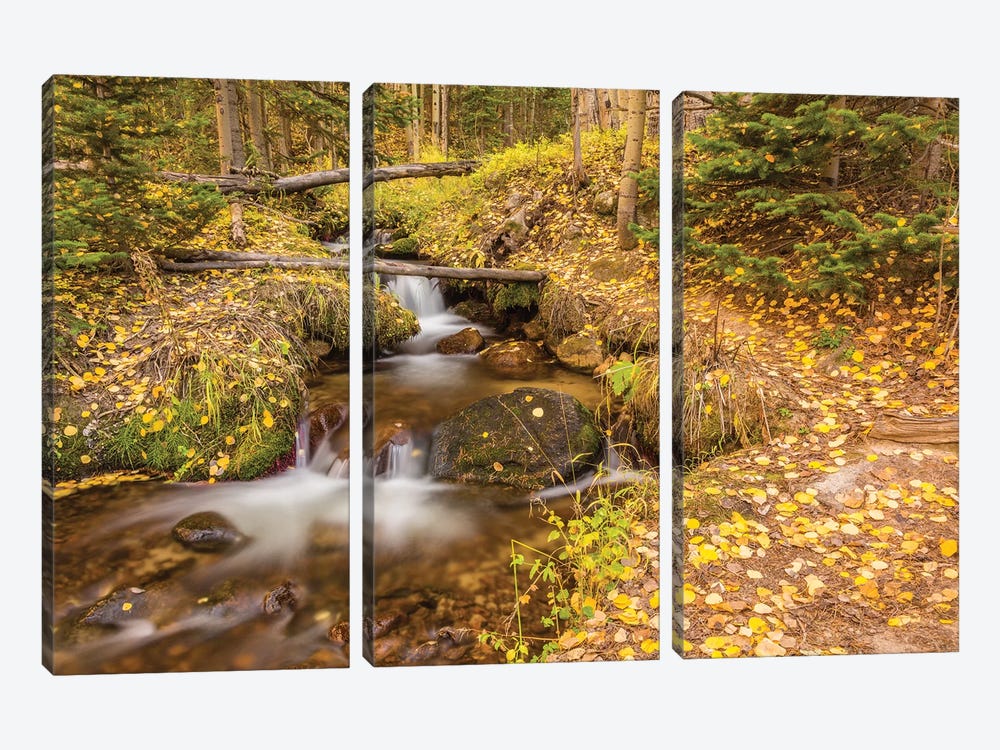 USA, Colorado, Rocky Mountain National Park. Waterfall in forest scenic II by Jaynes Gallery 3-piece Art Print
