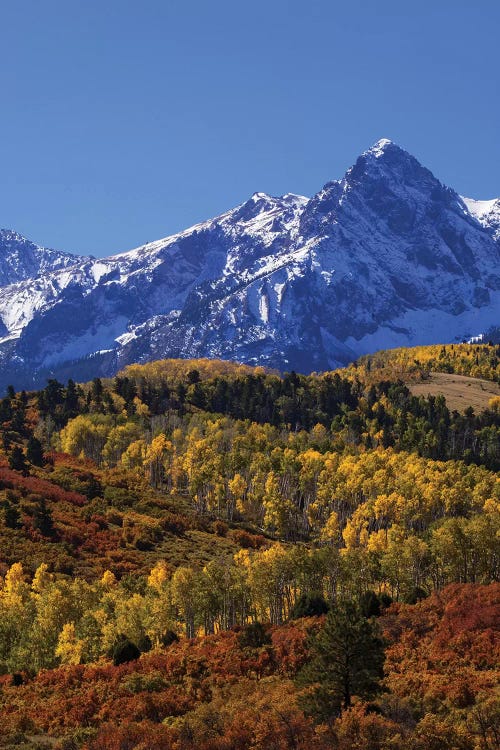 USA, Colorado, San Juan Mountains. Mountain and forest in autumn.