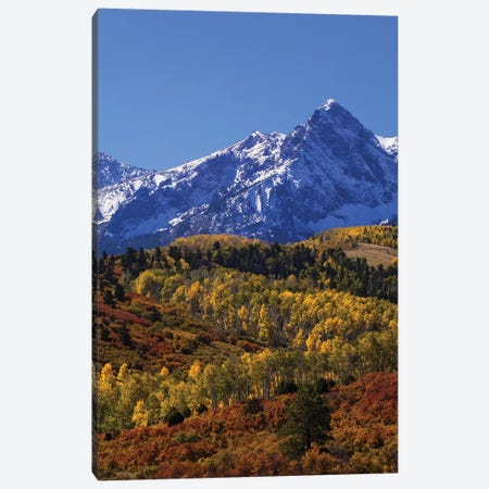 USA, Colorado, San Juan Mountains. Mountain and forest in autumn. Canvas Print #JYG130} by Jaynes Gallery Canvas Print