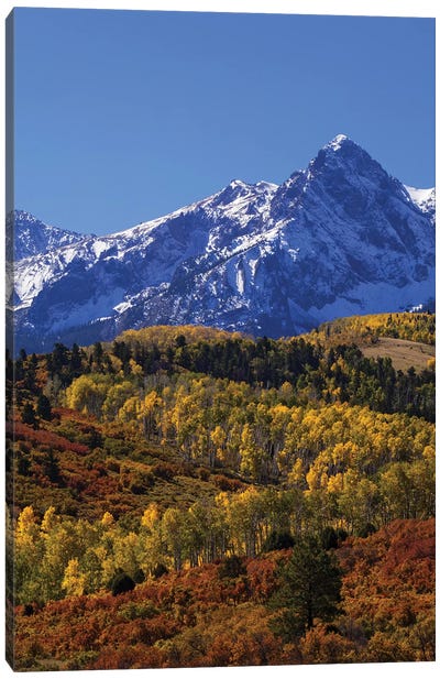 USA, Colorado, San Juan Mountains. Mountain and forest in autumn. Canvas Art Print - Jaynes Gallery