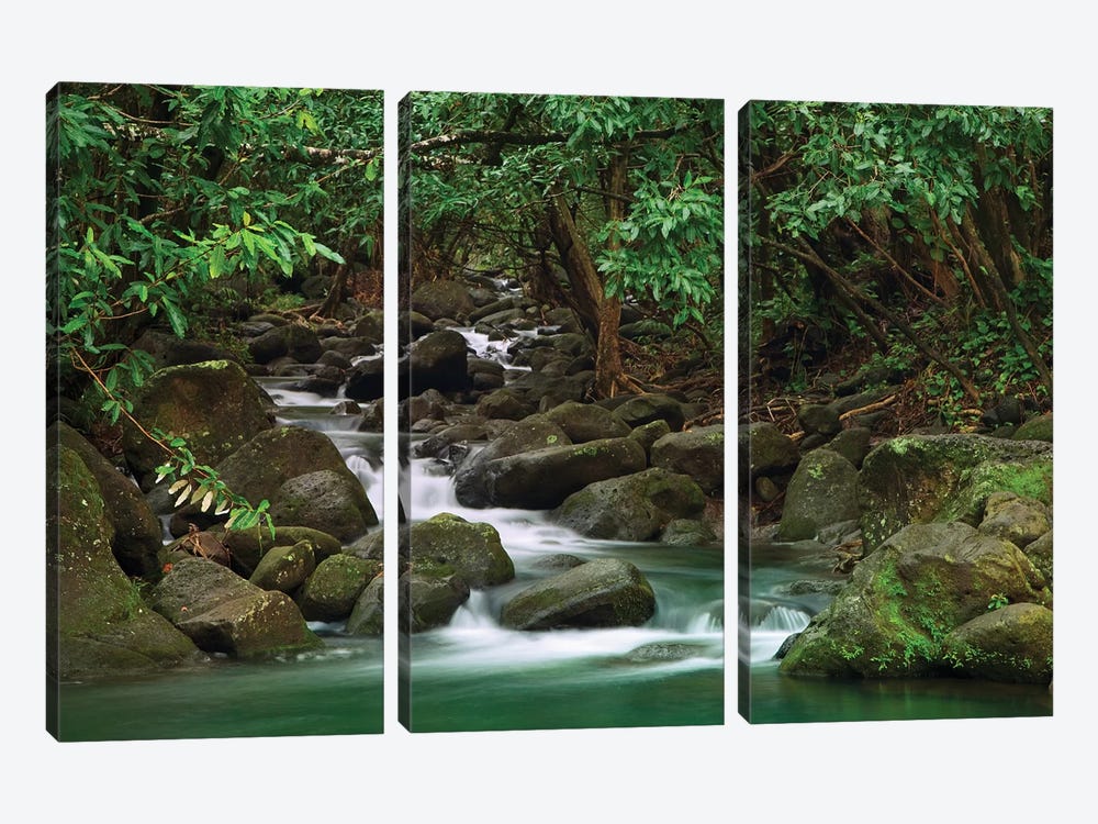 USA, Hawaii, Kauai. Creek in a rainforest. by Jaynes Gallery 3-piece Canvas Wall Art