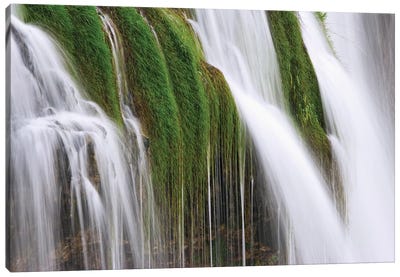 USA, Idaho, Fall Creek Waterfalls in Caribou National Forest. Canvas Art Print - Idaho