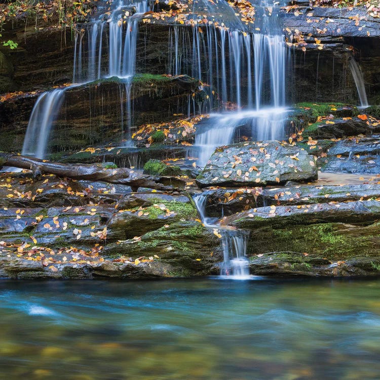 USA, North Carolina, Great Smoky Mountains. Scenic of Tom Branch Falls.