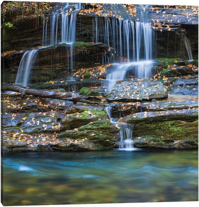 USA, North Carolina, Great Smoky Mountains. Scenic of Tom Branch Falls. Canvas Art Print - Waterfall Art