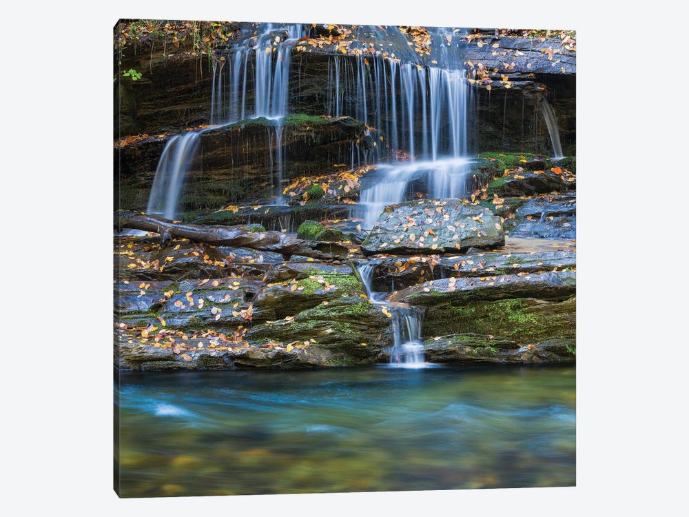 USA, North Carolina, Great Smoky Mountains. Scenic of Tom Branch Falls. by Jaynes Gallery 1-piece Canvas Wall Art