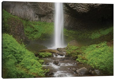 USA, Oregon, Columbia River Gorge. Latourell Falls landscape. Canvas Art Print - Jaynes Gallery