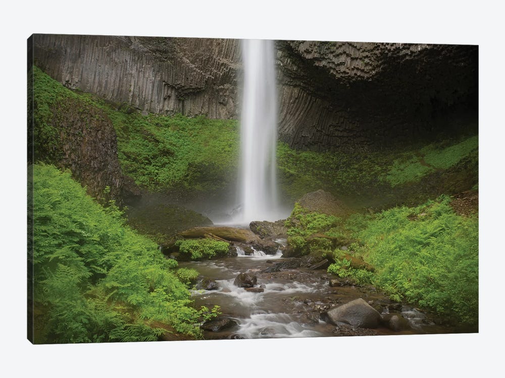USA, Oregon, Columbia River Gorge. Latourell Falls landscape. by Jaynes Gallery 1-piece Canvas Artwork
