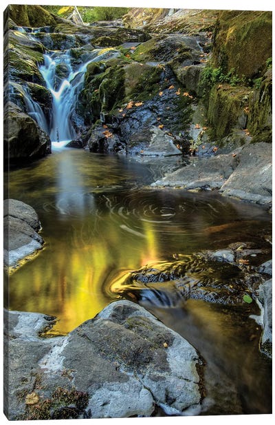 USA, Oregon, Florence. Waterfall in stream I Canvas Art Print - Oregon Art