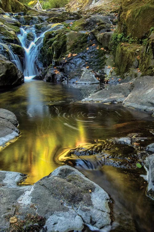 USA, Oregon, Florence. Waterfall in stream I