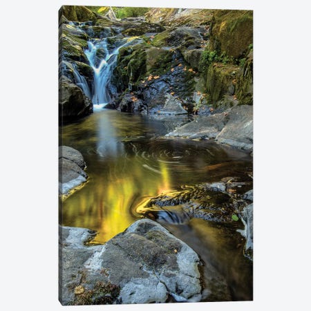 USA, Oregon, Florence. Waterfall in stream I Canvas Print #JYG143} by Jaynes Gallery Canvas Wall Art