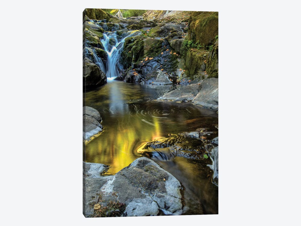 USA, Oregon, Florence. Waterfall in stream I by Jaynes Gallery 1-piece Canvas Artwork