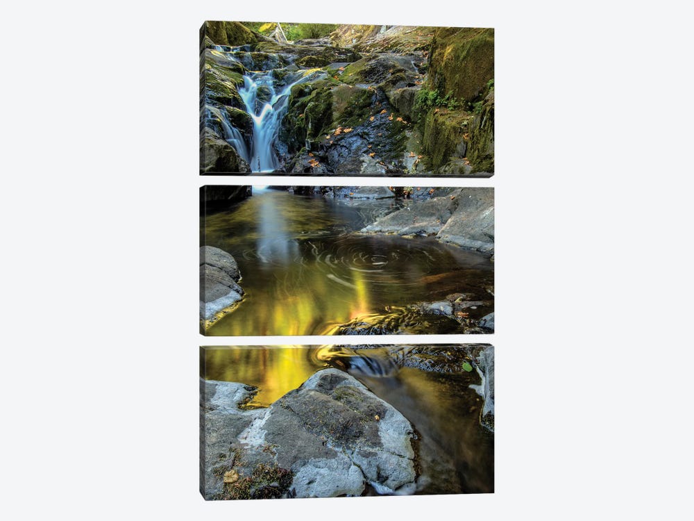 USA, Oregon, Florence. Waterfall in stream I by Jaynes Gallery 3-piece Canvas Artwork