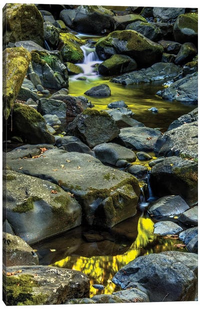 USA, Oregon, Florence. Waterfall in stream II Canvas Art Print - Oregon Art