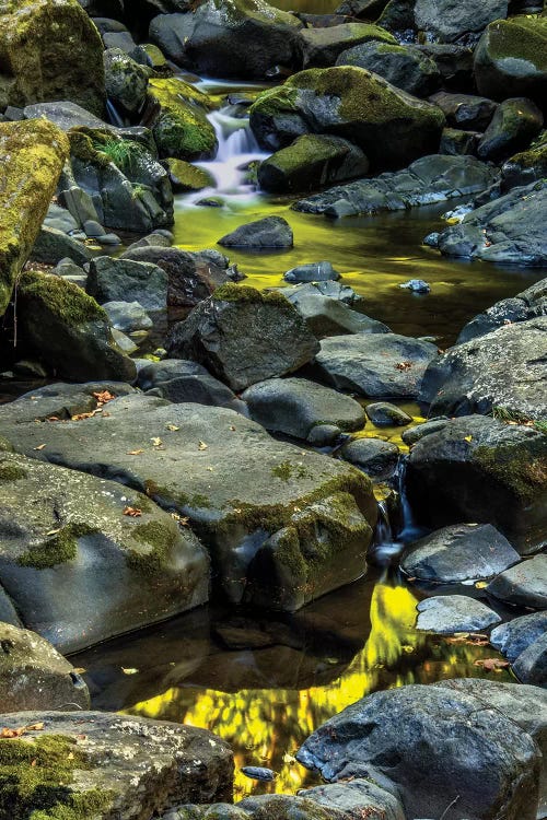 USA, Oregon, Florence. Waterfall in stream II