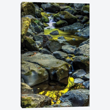 USA, Oregon, Florence. Waterfall in stream II Canvas Print #JYG144} by Jaynes Gallery Art Print