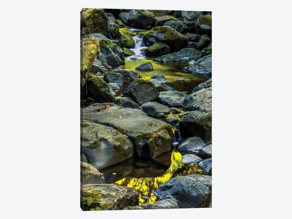 USA, Oregon, Florence. Waterfall in stream II by Jaynes Gallery 1-piece Art Print
