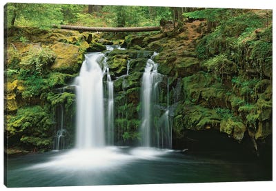 USA, Oregon, Umpqua River. Waterfall. Canvas Art Print - Oregon Art