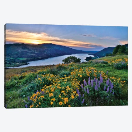 USA, Oregon. View of Lake Bonneville at sunrise. Canvas Print #JYG152} by Jaynes Gallery Canvas Print