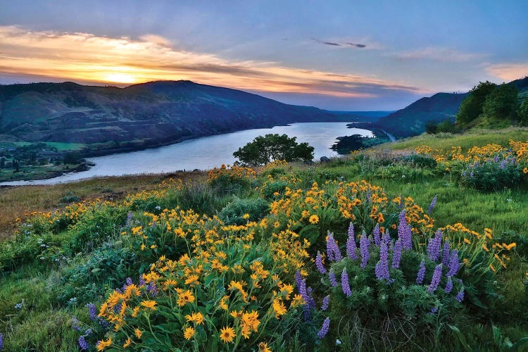 USA, Oregon. View of Lake Bonneville at sunrise.