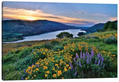 USA, Oregon. View of Lake Bonneville at sunrise. Canvas Art Print - Sunrises & Sunsets Scenic Photography