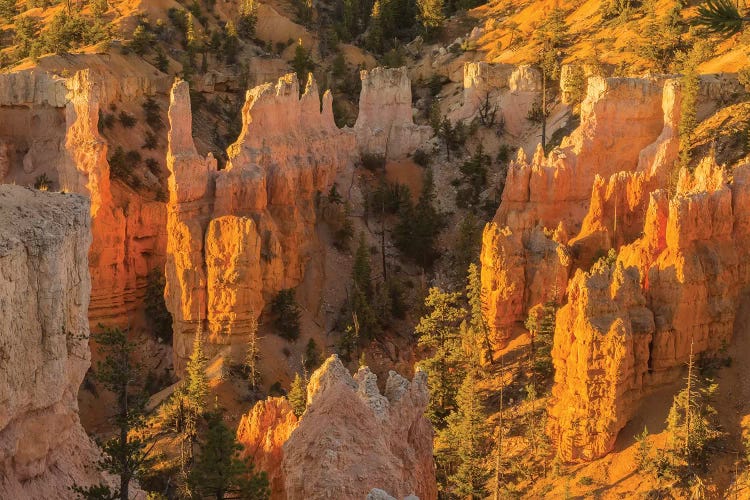 USA, Utah, Bryce Canyon National Park. Canyon overview.